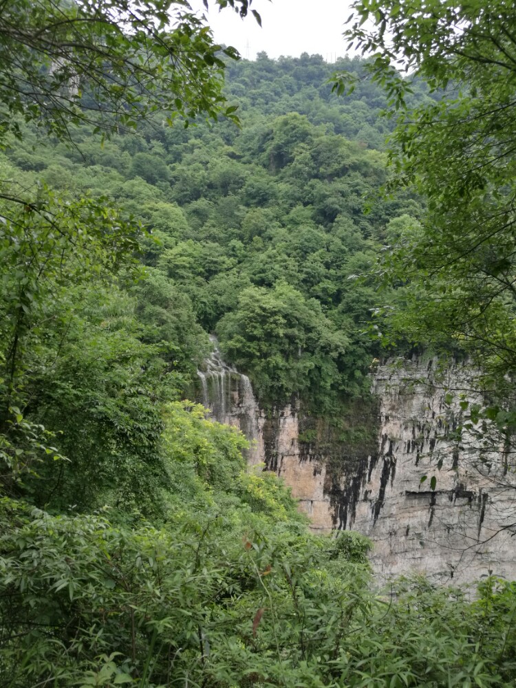 长阳五爪观