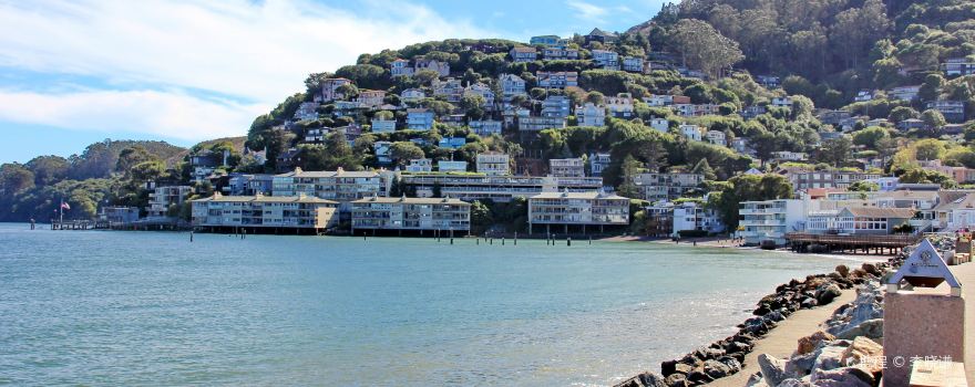 一号公路两日/三日游 3 天 |  含旧金山, 斯坦福, 蒙特雷县, 卡梅尔谷