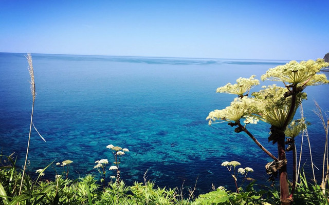 北海道超深度游 稚内 利尻岛 礼文岛45npass全岛巡礼完全攻略 稚内游记攻略 携程攻略