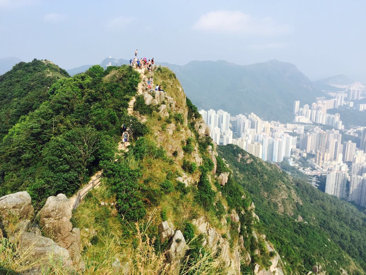 2019狮子山-旅游攻略-门票-地址-问答-游记点评，丽江旅游旅游景点推荐-去哪儿攻略