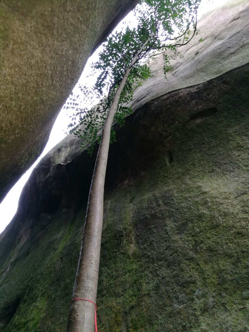 漳州雲洞巖好玩嗎,漳州雲洞巖景點怎麼樣_點評_評價【攜程攻略】