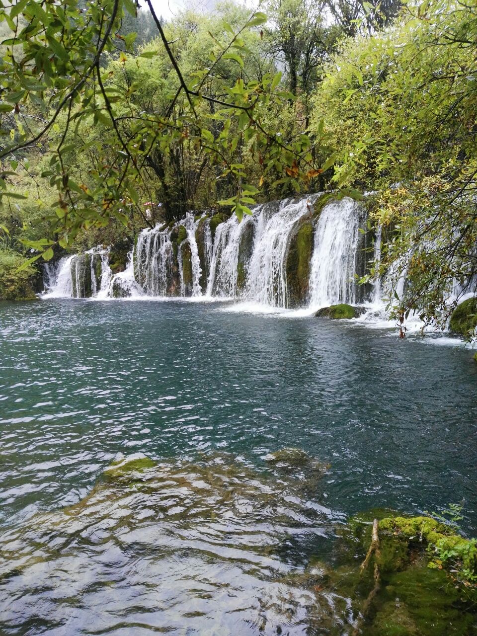 【携程攻略】九寨沟九寨沟风景区景点,真是中国最美的景色了,山美,水