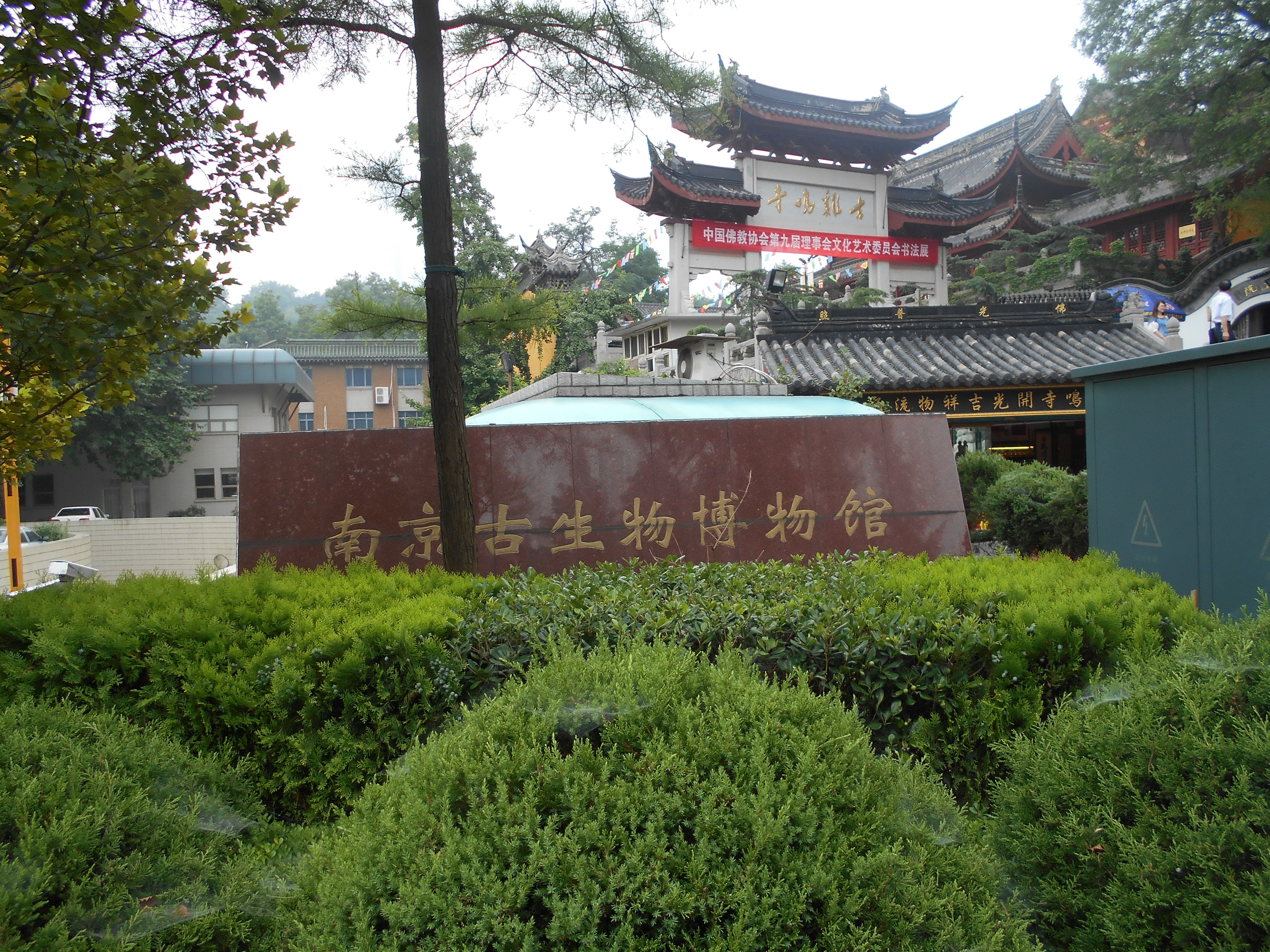 2019古生物博物馆_旅游攻略_门票_地址_游记点评,南京旅游景点推荐