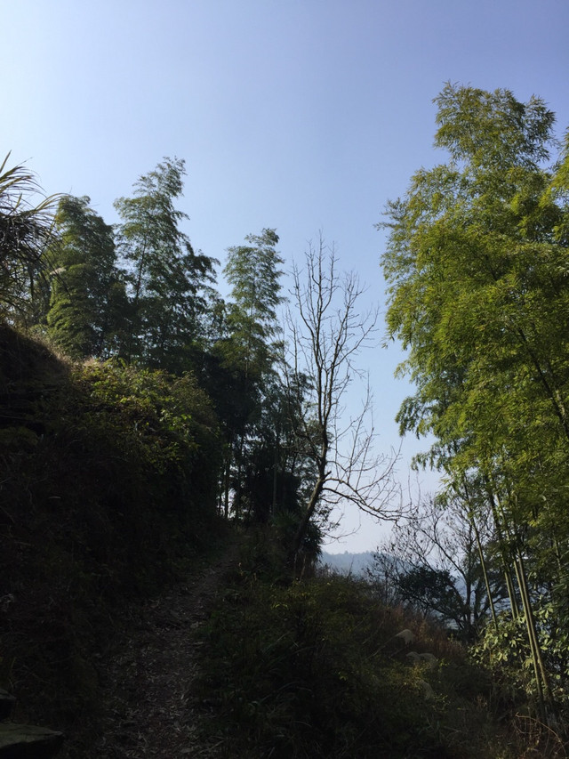 山村生活