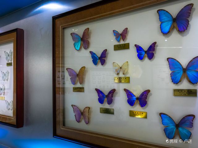 上海昆虫博物馆