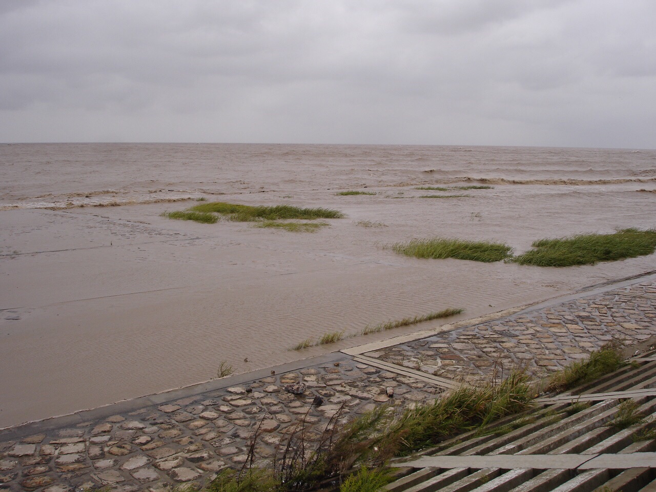 上海南汇东滩湿地好玩吗,上海南汇东滩湿地景点怎么样_点评_评价