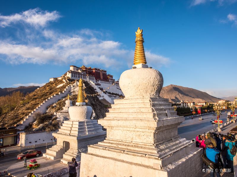 布达拉宫药王山观景台图片