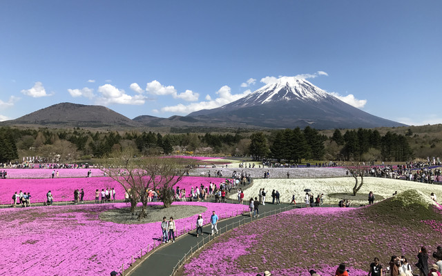 日本静冈富士山环游记 静冈游记攻略 携程攻略