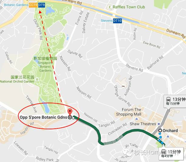 [校长Harry] 五块钱上的那棵树 | 新加坡植物园