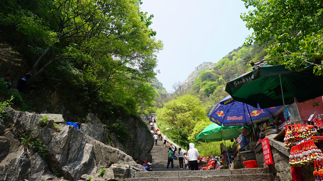 山东辽宁9城市(济南泰安曲阜滕州枣庄)高铁自