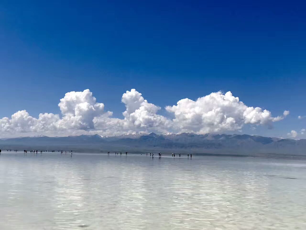 【攜程攻略】青海湖青海湖景點,青海湖非常壯闊漂亮,環湖及周邊主要