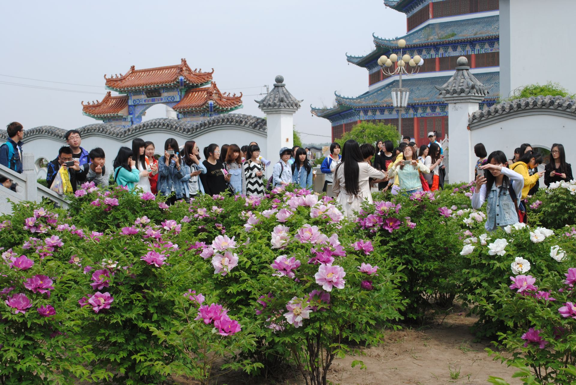 沈阳三农博览园