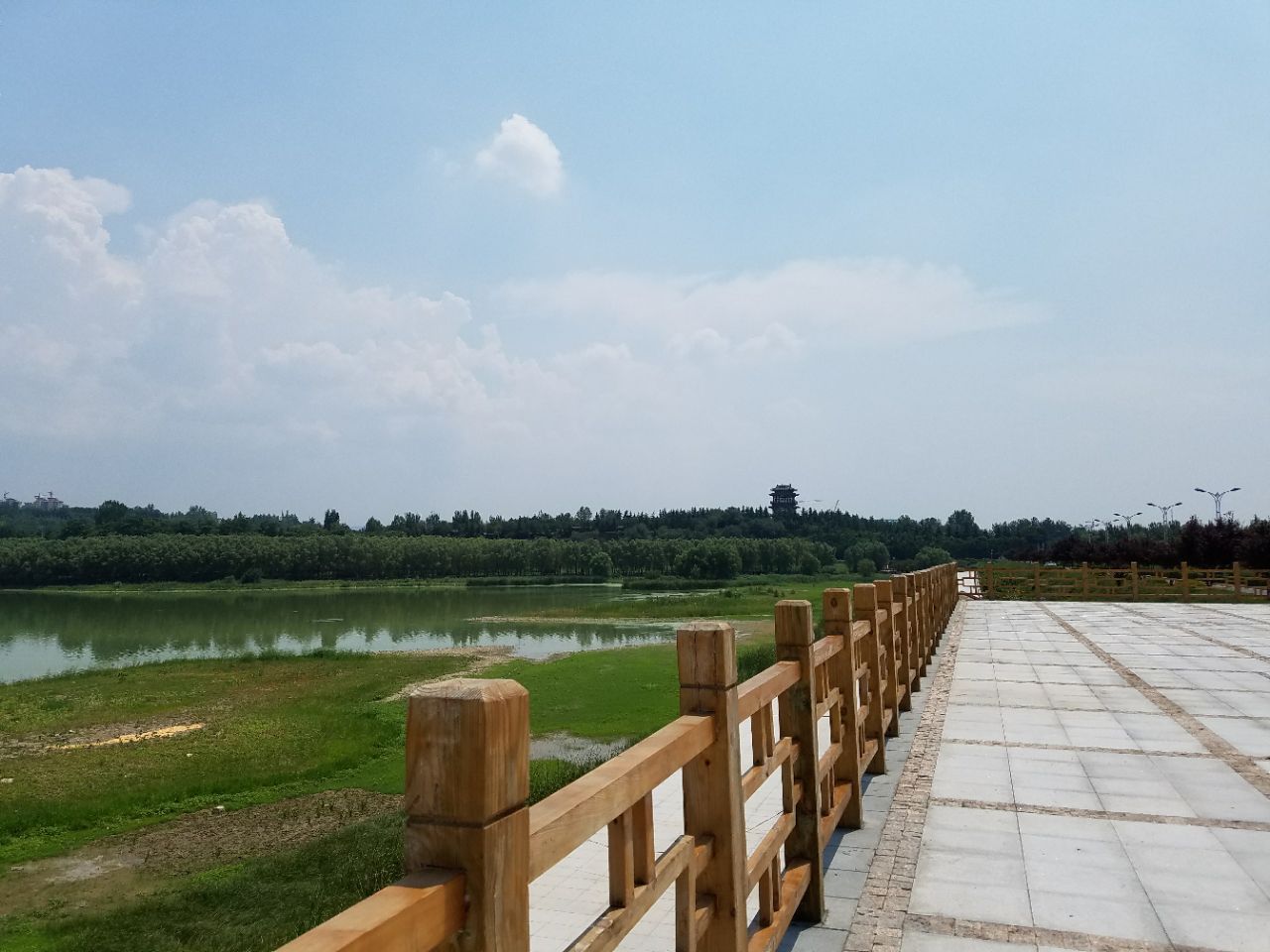 龙泉天鹅湖公园图片