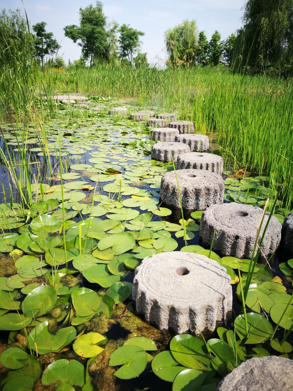 泗洪洪澤湖溼地旅遊景點攻略圖