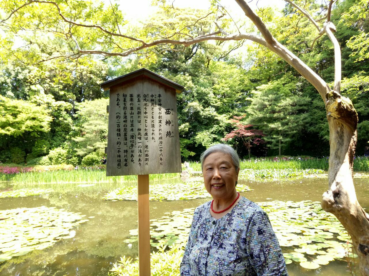 京都平安神宫好玩吗 京都平安神宫景点怎么样 点评 评价 携程攻略