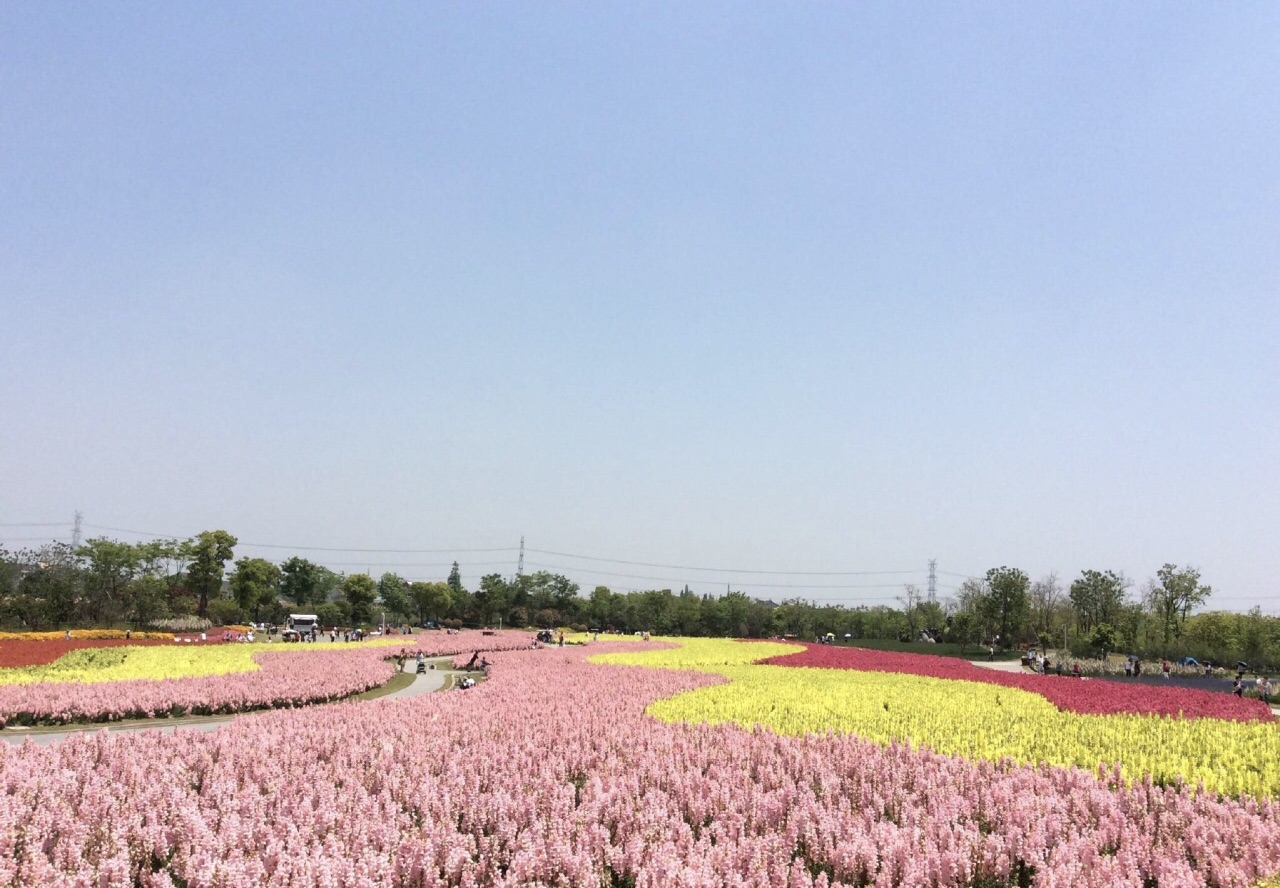 2019周浦花海