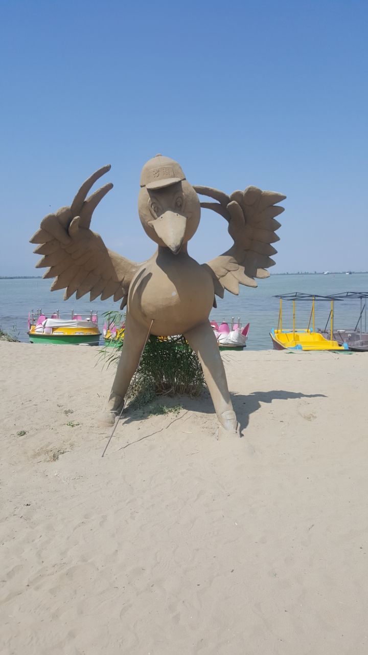 沙湖生态旅游区