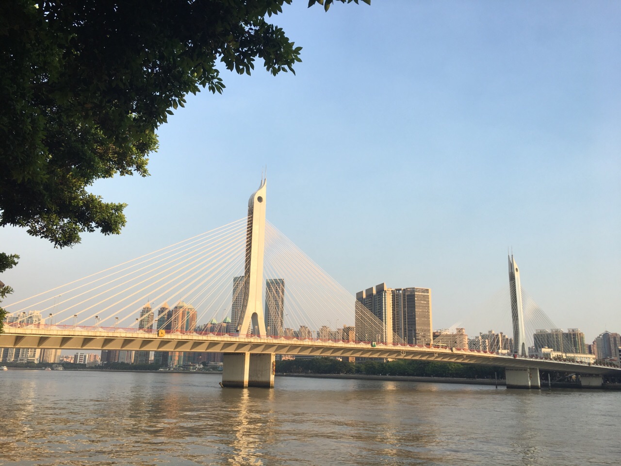 2019珠江夜游大沙头码头_旅游攻略_门票_地址_游记点评,广州旅游玩乐