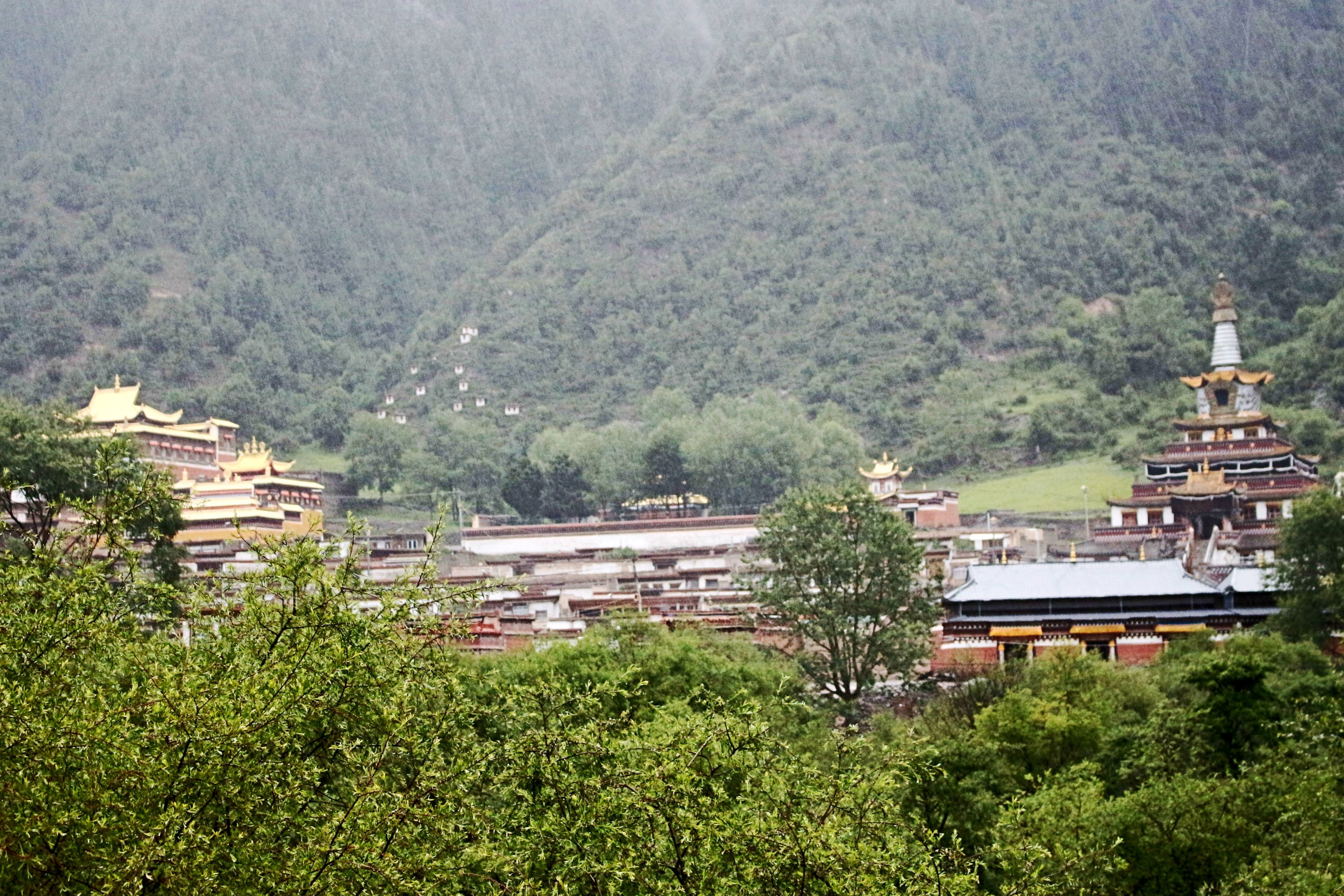 卓尼尼巴村好玩吗,卓尼尼巴村景点怎么样_点评_评价【携程攻略】