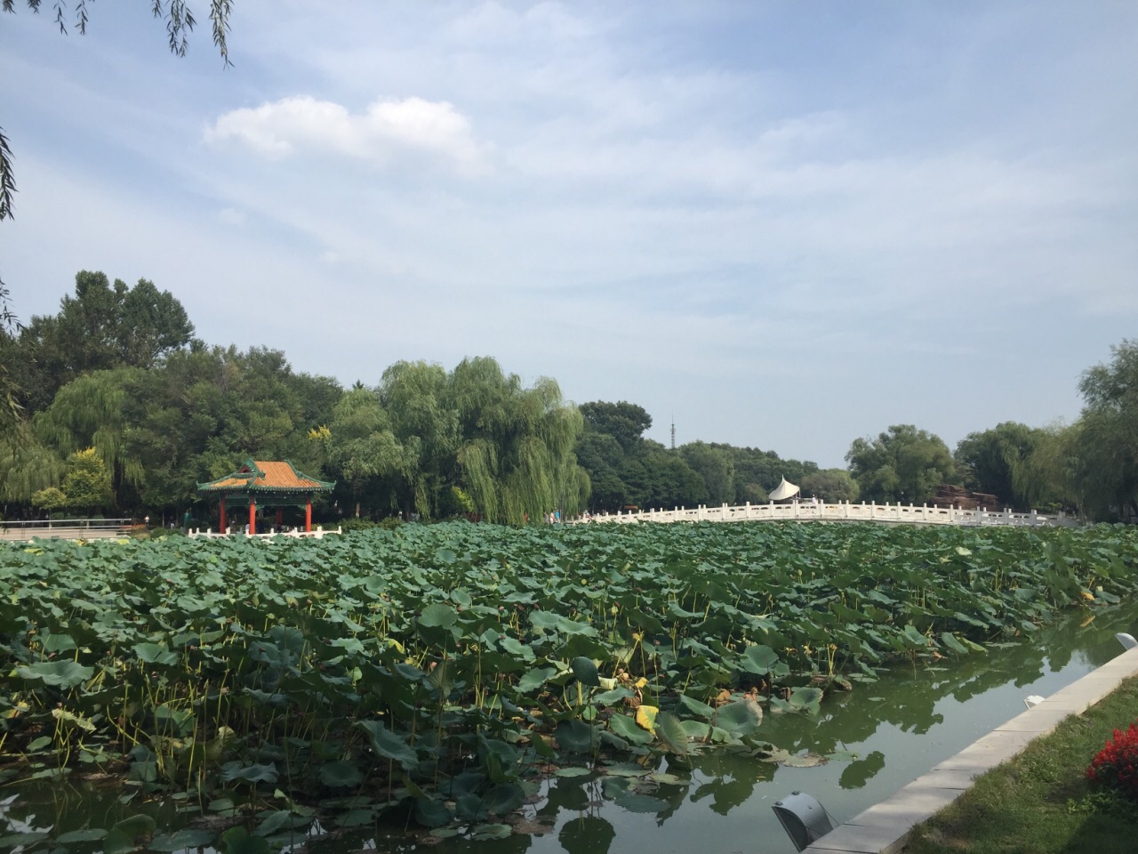 撫順勞動公園好玩嗎,撫順勞動公園景點怎麼樣_點評_評價【攜程攻略】