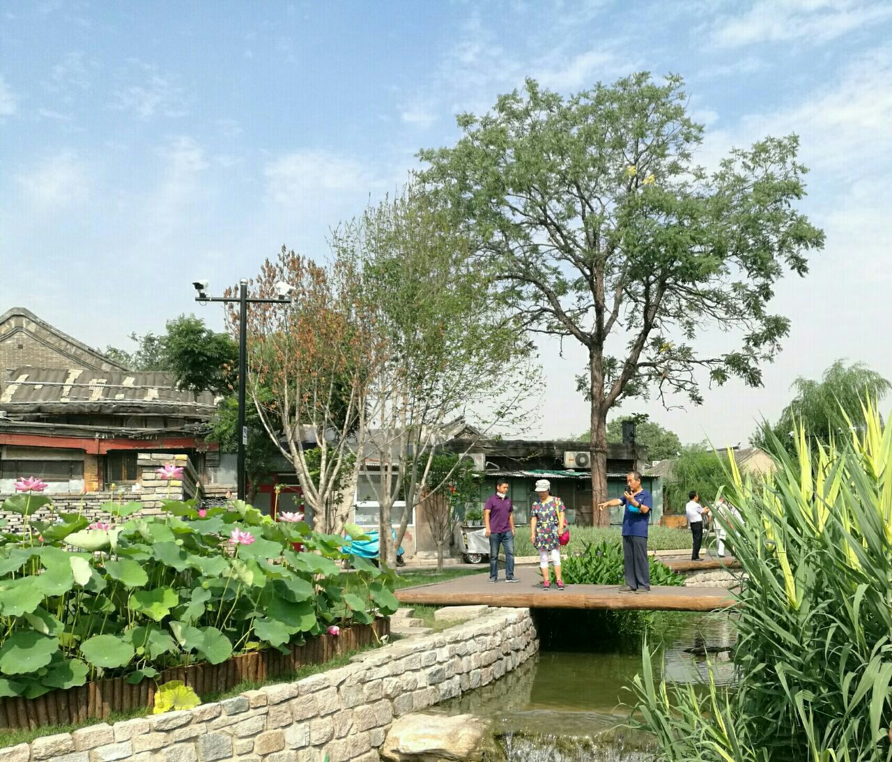 2023三里河公园游玩攻略,北京三里河公园距离前门步行...【去哪儿攻略】