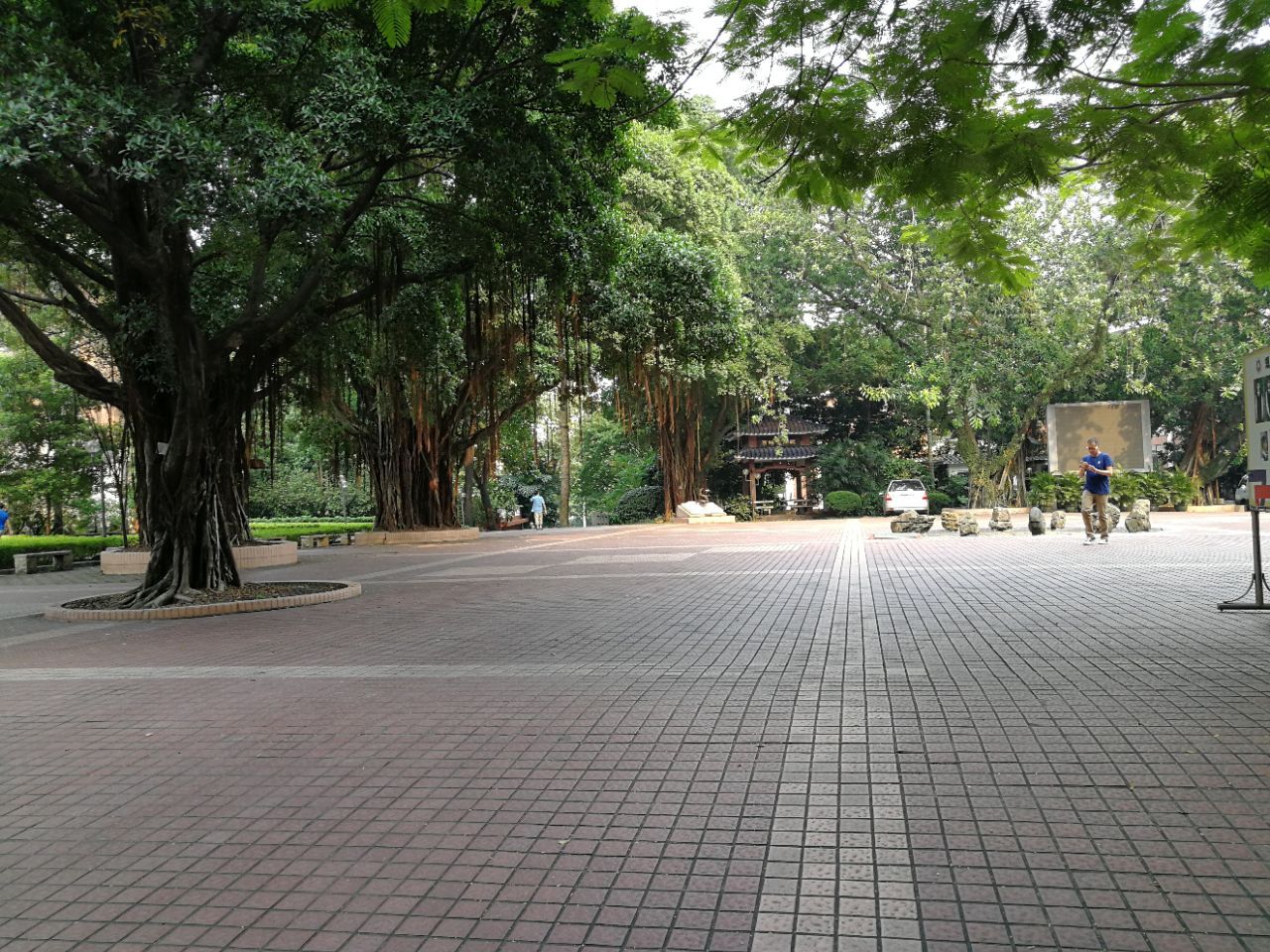 培正中学peizheng middle school