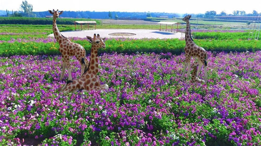 3-Day Qingyang Tour: Kongtong Mountain's grandeur, Northern Cave Temple's ancient charm