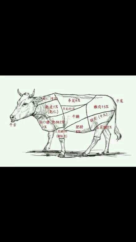 唯一特点就是吃新鲜牛肉的