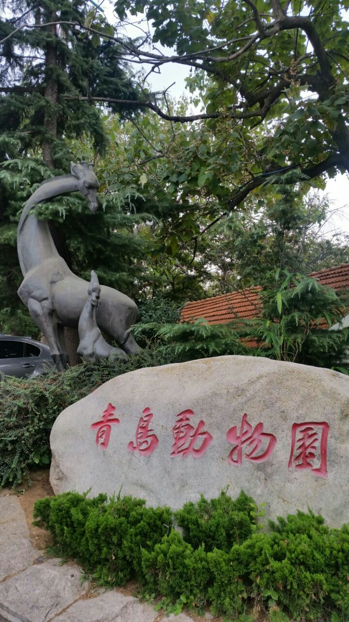 青岛动物园