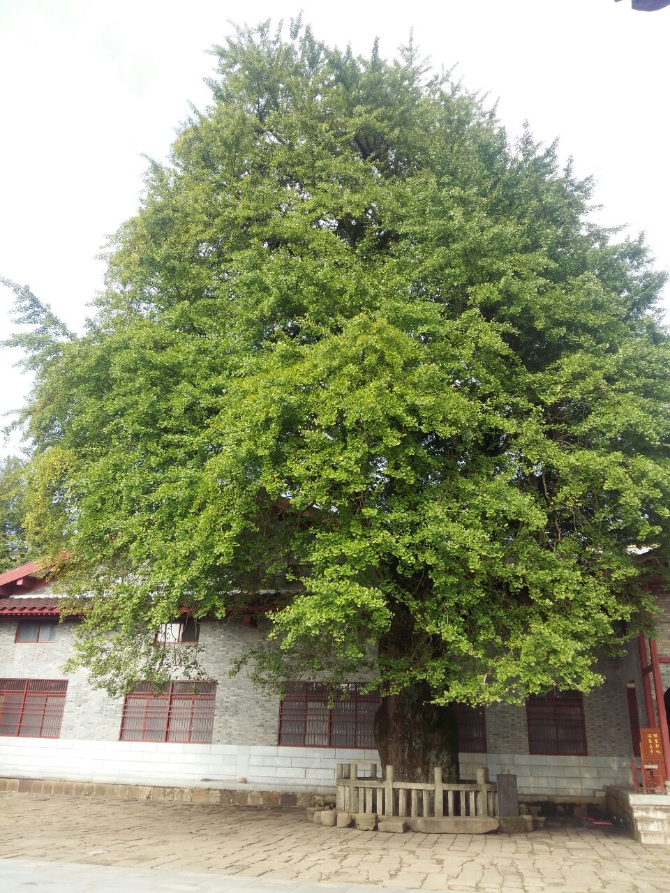 真如寺很清静,寺内有千年银杏树;百花谷主要是看瀑布,景区内空气很好.