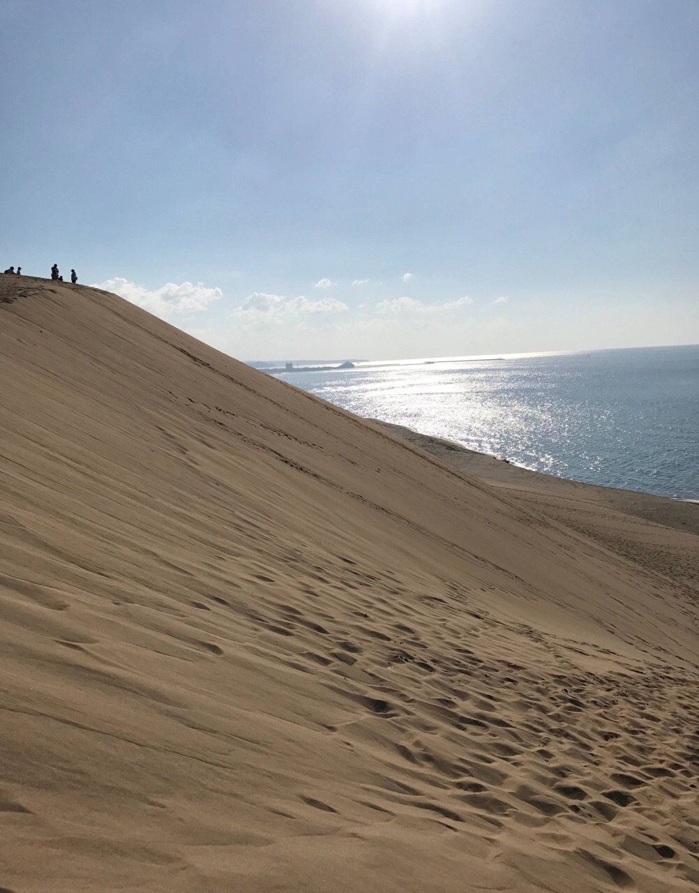 鸟取砂丘旅游景点攻略图