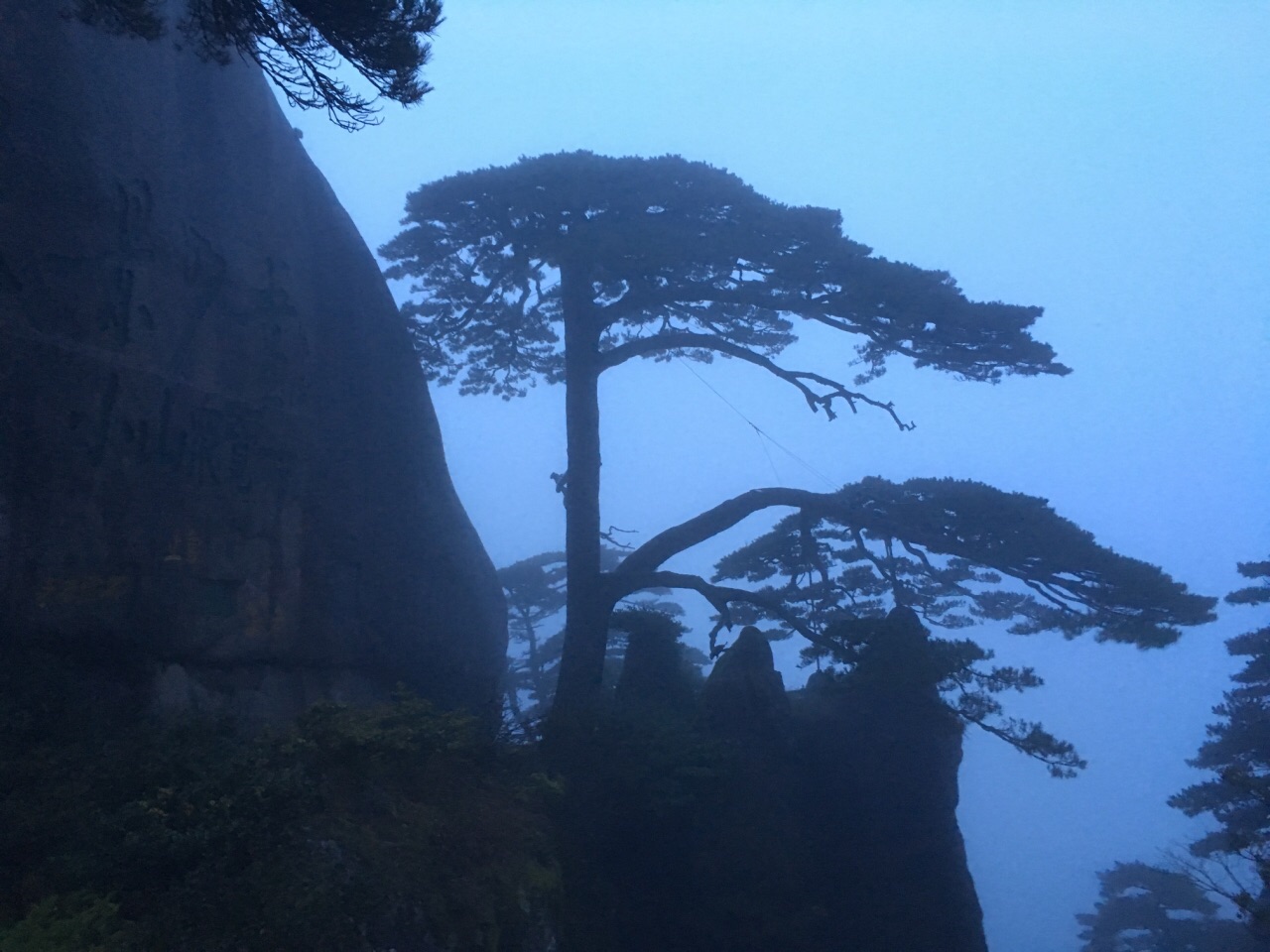 双龙松,相册,描写(第3页)_大山谷图库
