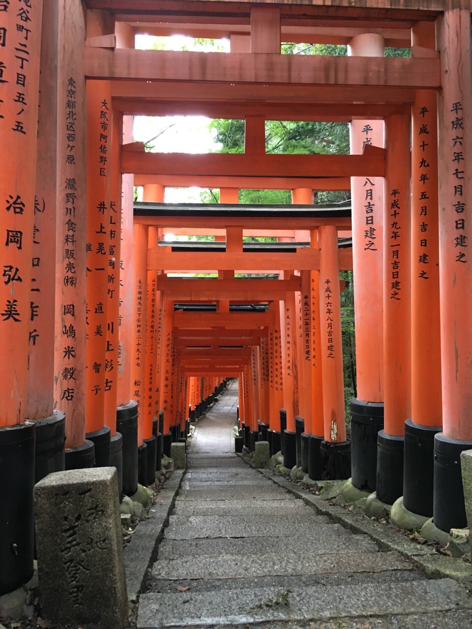 京都千本鳥居據說是來京都必到之處我看了之後沒有什麼感覺不能體會