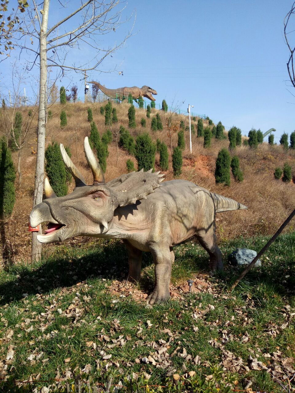 汝阳恐龙化石群国家地质公园