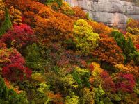 【携程攻略】照金牧场门票,铜川照金牧场攻略