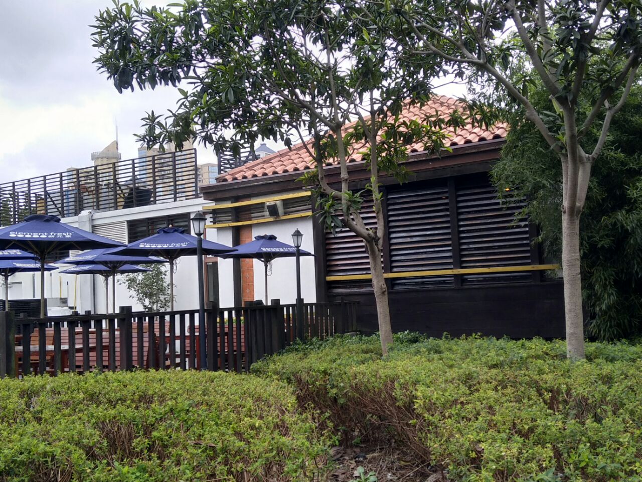 上海新元素餐厅(金桥店)好吃吗,新元素餐厅(金桥店)味道怎么样,环境