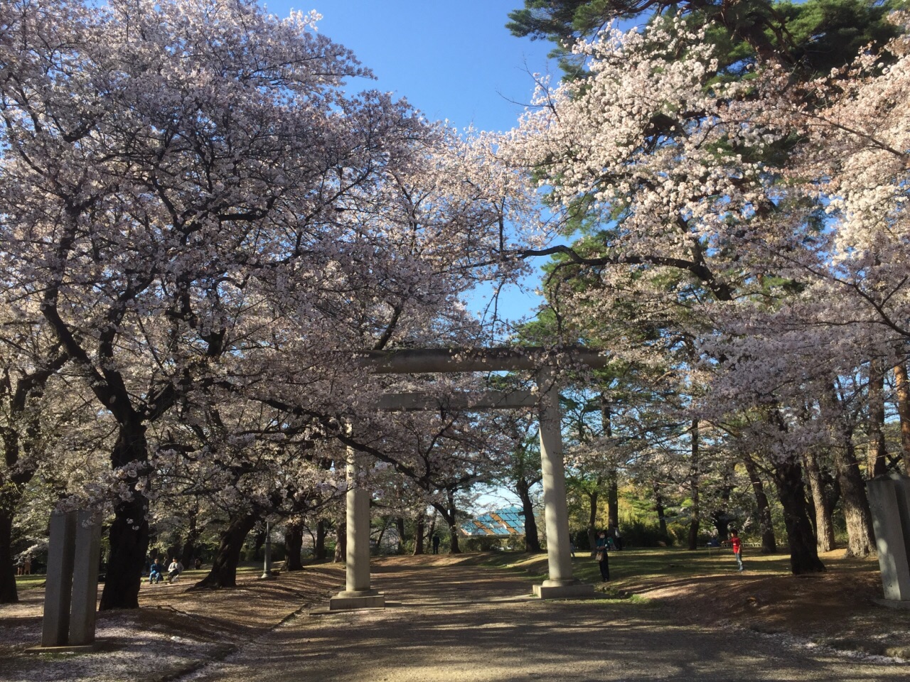 2019大宮第二公園_旅遊攻略_門票_地址_遊記點評,埼玉市旅遊景點推薦