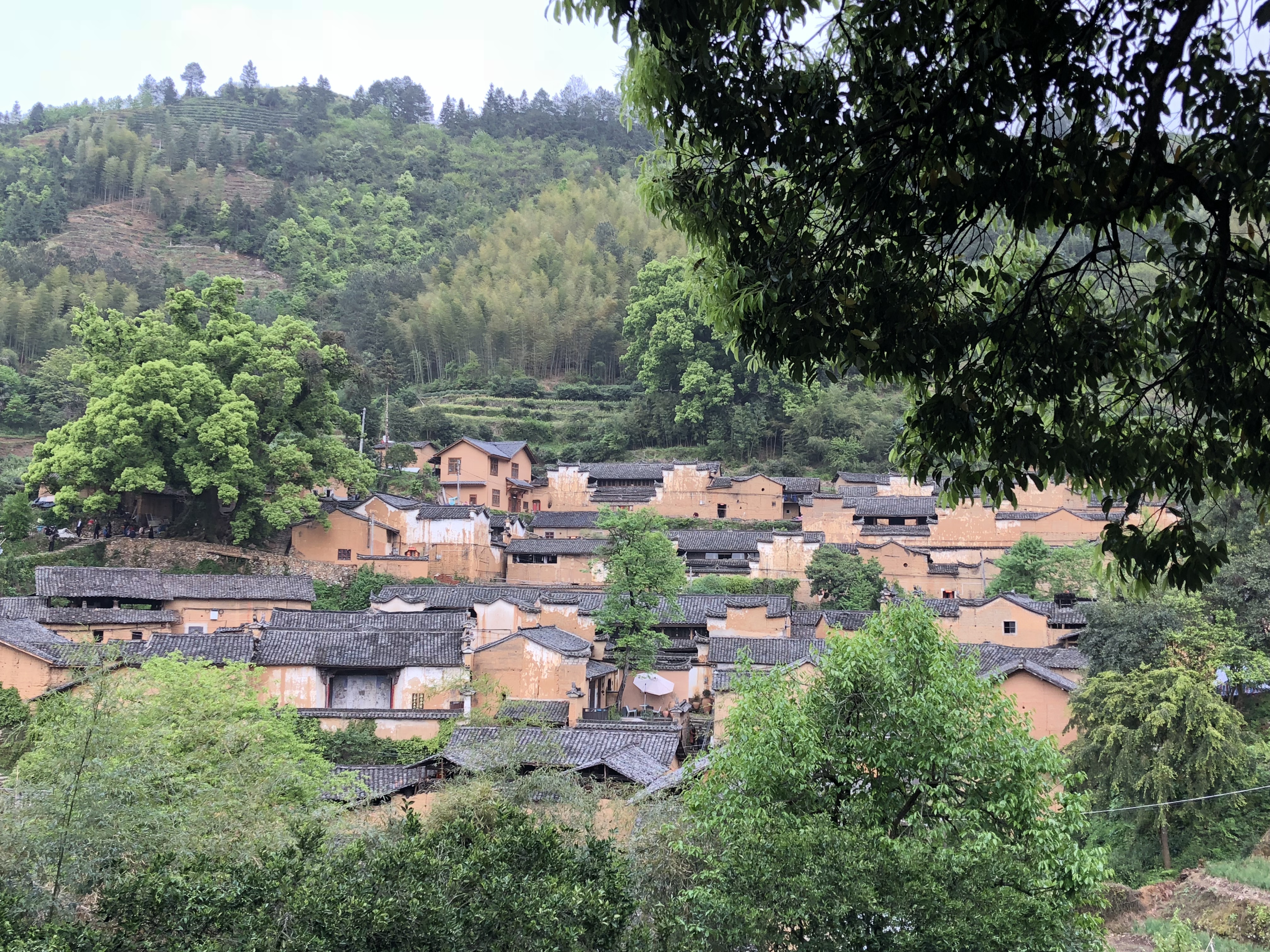 2019楊家堂村_旅遊攻略_門票_地址_遊記點評,松陽旅遊景點推薦 - 去