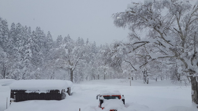 一生中最美的梦幻白 北海道十日游 携程氢气球