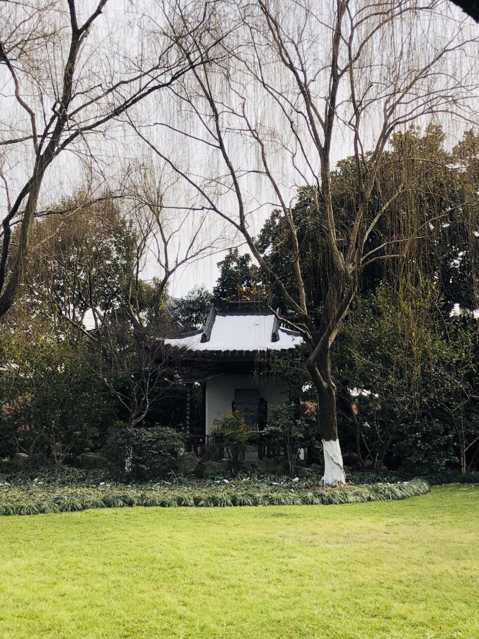 2020柳浪闻莺-旅游攻略-门票-地址-问答-游记点评,杭州旅游旅游景点