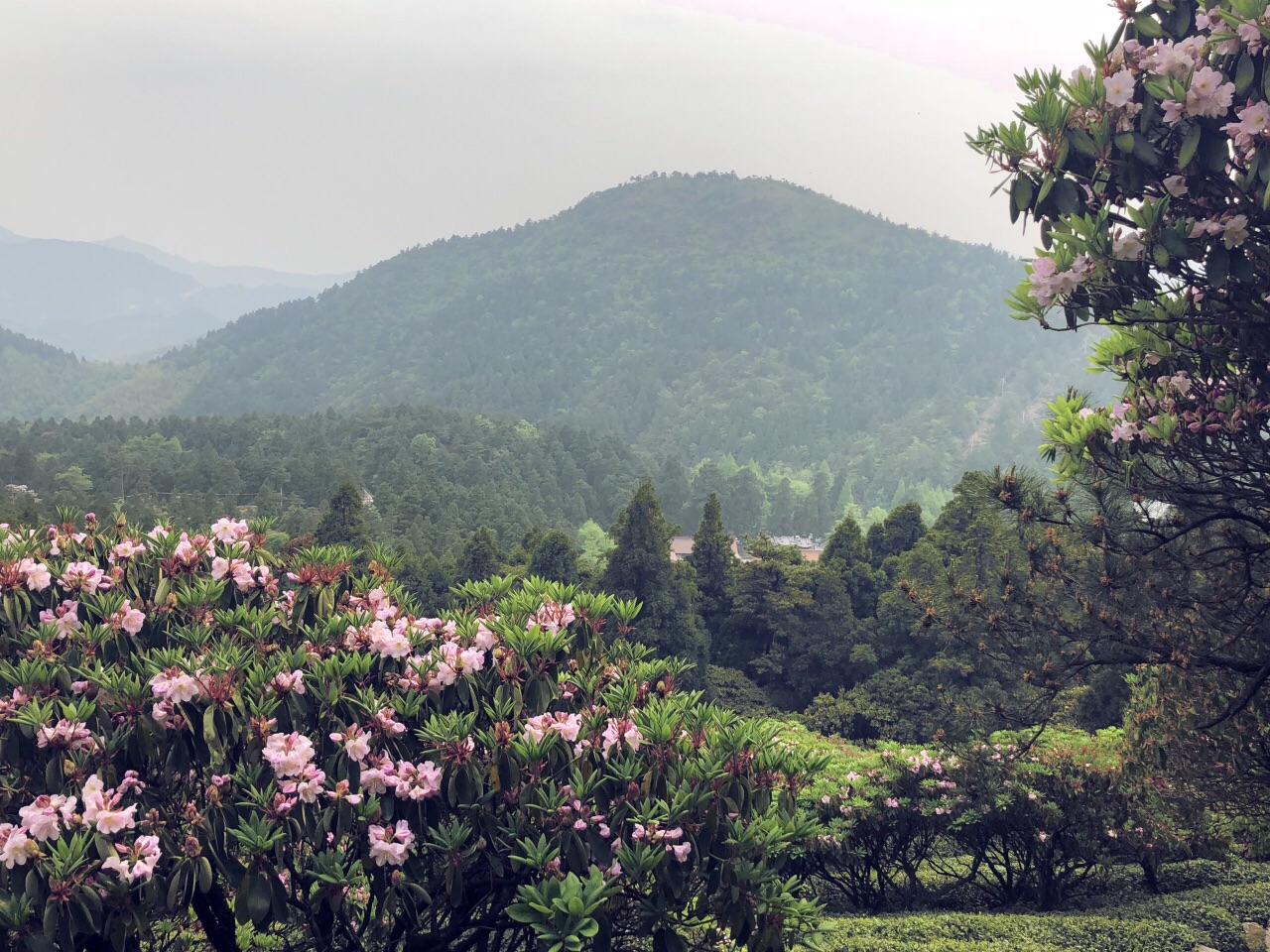 华顶国家森林公园