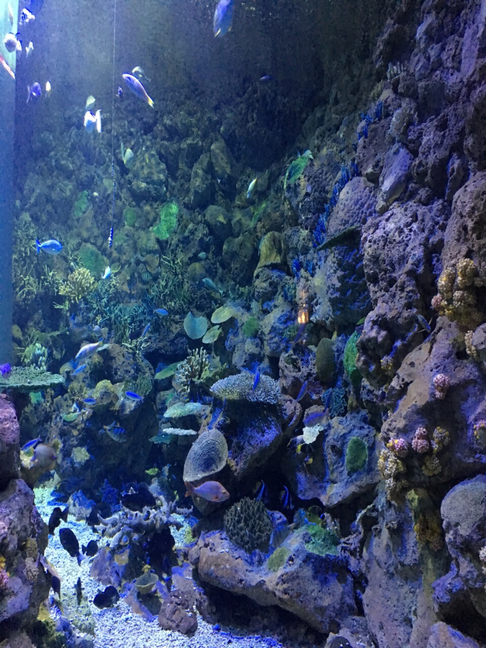 台湾海洋生物博物馆
