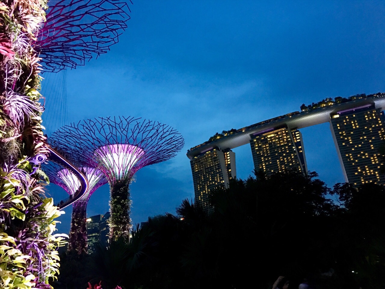 新加坡滨海湾花园
