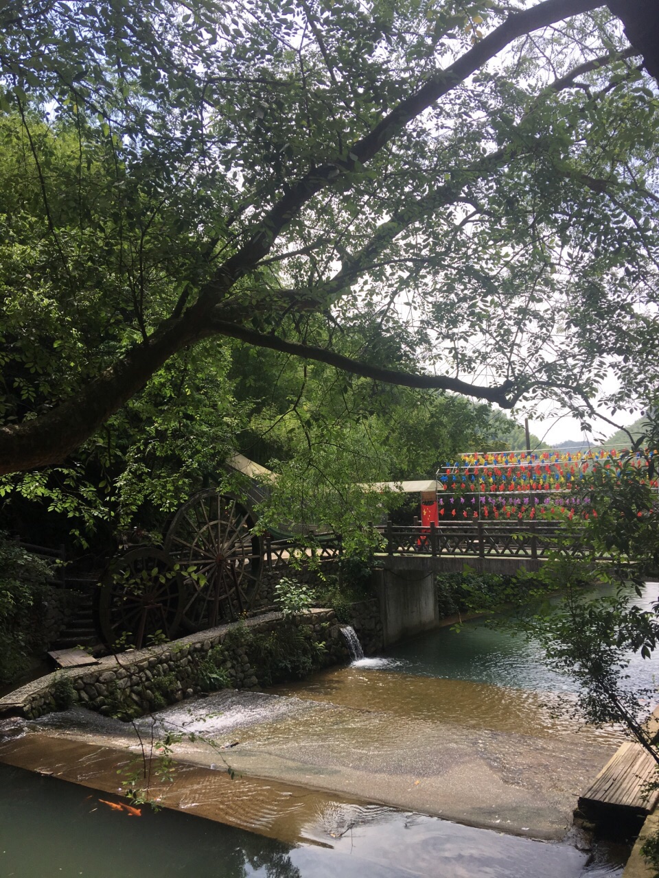 喻斯鳳凰山竹海滑道旅遊景點攻略圖