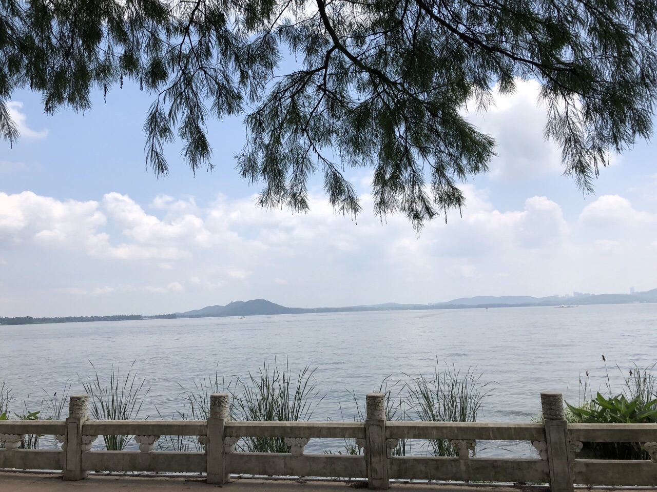 东湖上景图片