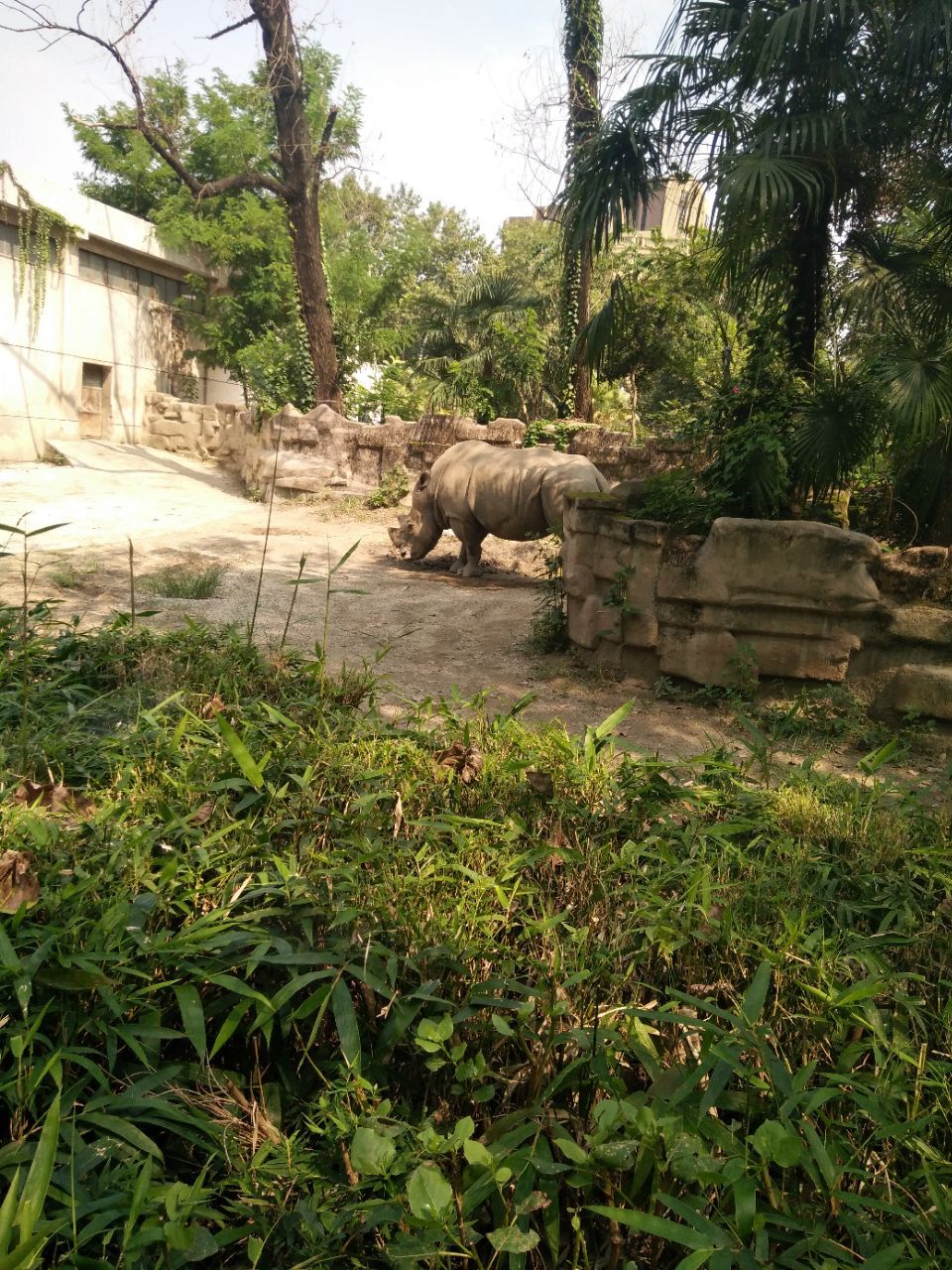 成都動物園