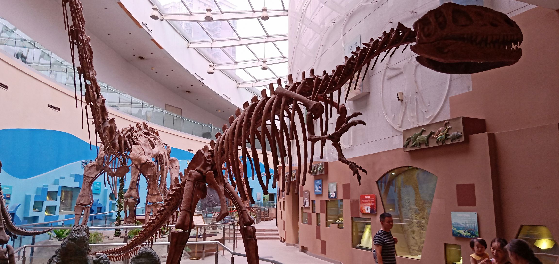 陕西自然博物馆