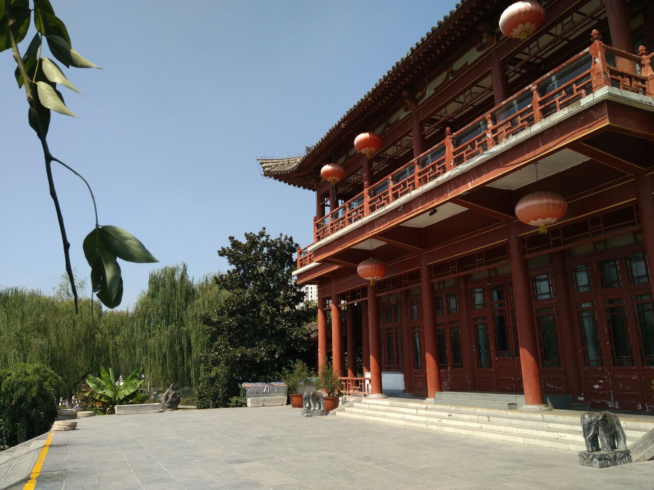 兴庆宫公园