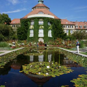 慕尼黑旧植物园旅游景点攻略图