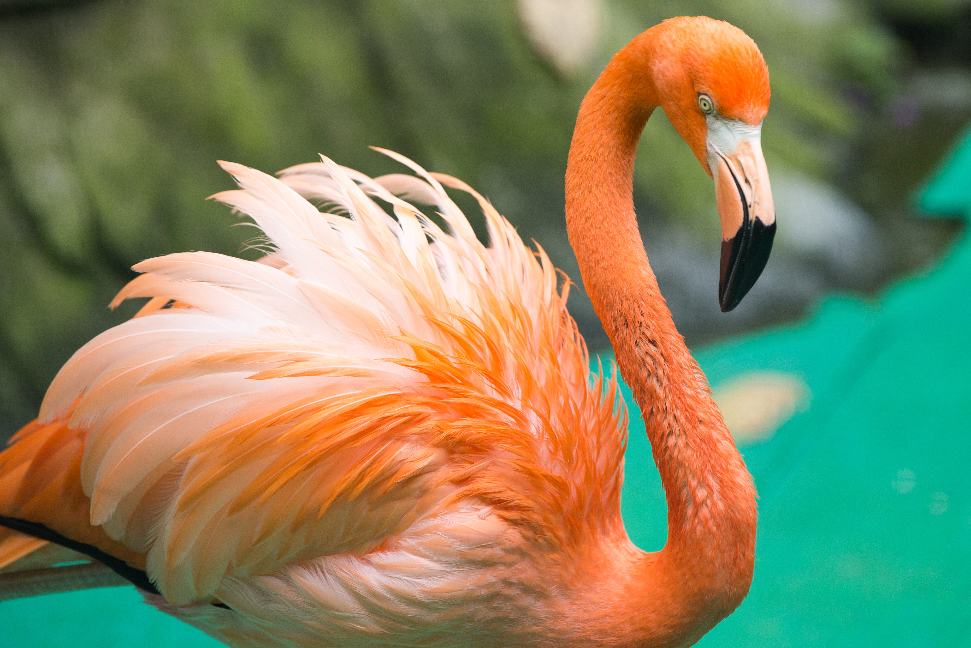 2019温州动物园_旅游攻略_门票_地址_游记点评,温州旅游景点推荐 - 去